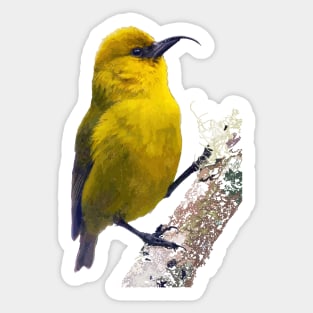 ‘Ākiapōlā’au, Hawaiian Bird #2 Sticker